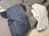 「「一度着て、まだ洗わない服は…」　洗濯のプロが『保管場所』をアドバイス【冬服のニオイ対策】」の画像1
