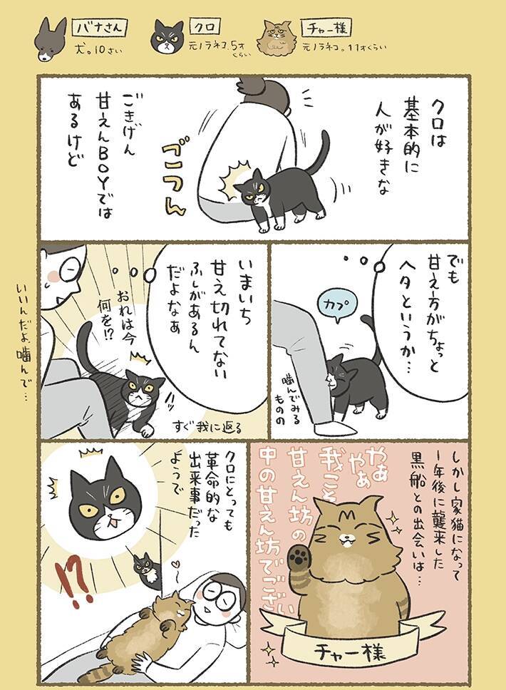 甘え方が下手な愛猫　ほかの愛猫と暮らし始めると…漫画で描く『緊張しながら甘える猫』にキュン！