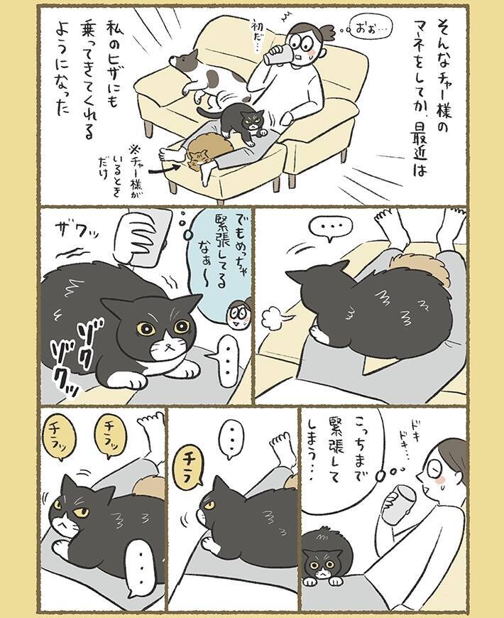 甘え方が下手な愛猫　ほかの愛猫と暮らし始めると…漫画で描く『緊張しながら甘える猫』にキュン！