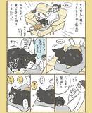 「甘え方が下手な愛猫　ほかの愛猫と暮らし始めると…漫画で描く『緊張しながら甘える猫』にキュン！」の画像3