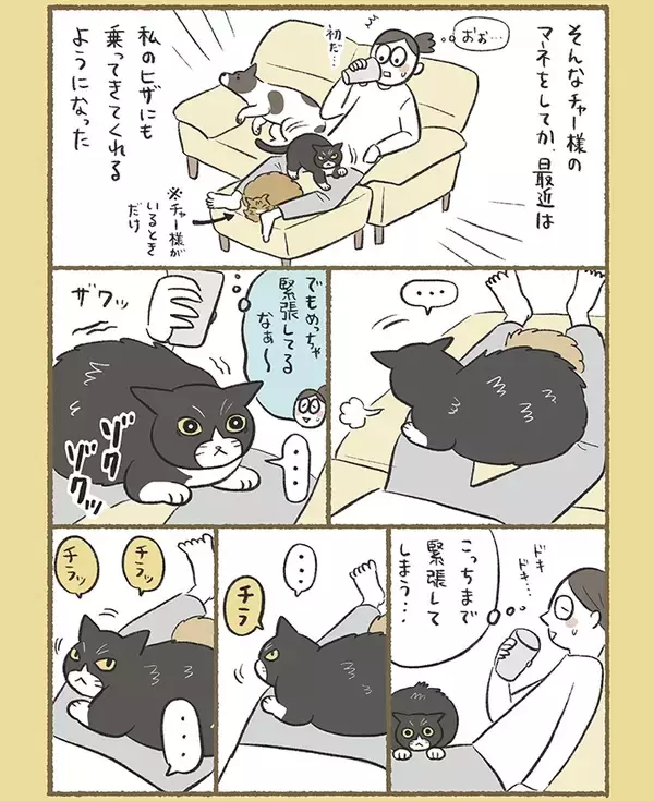 「甘え方が下手な愛猫　ほかの愛猫と暮らし始めると…漫画で描く『緊張しながら甘える猫』にキュン！」の画像