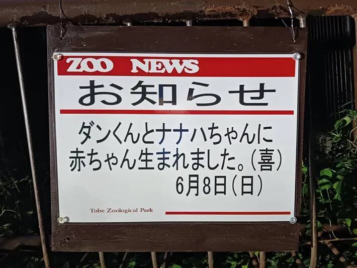 動物園「赤ちゃんが生まれました」　飼育員の喜びが伝わる『ド直球』な貼り紙が…