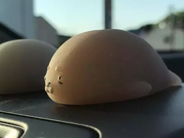 アザラシの置物を車に飾った翌日？　目にした光景に「新種の生き物かな」「ごめん笑っちゃう」