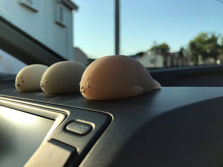 アザラシの置物を車に飾った翌日？　目にした光景に「新種の生き物かな」「ごめん笑っちゃう」