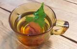 「リプトンがすすめる『梅しそ紅茶』　ひと口飲んでみると？「思っていた以上に…」」の画像4
