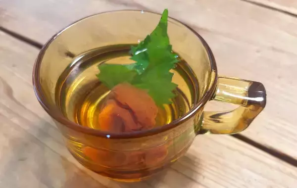 「リプトンがすすめる『梅しそ紅茶』　ひと口飲んでみると？「思っていた以上に…」」の画像