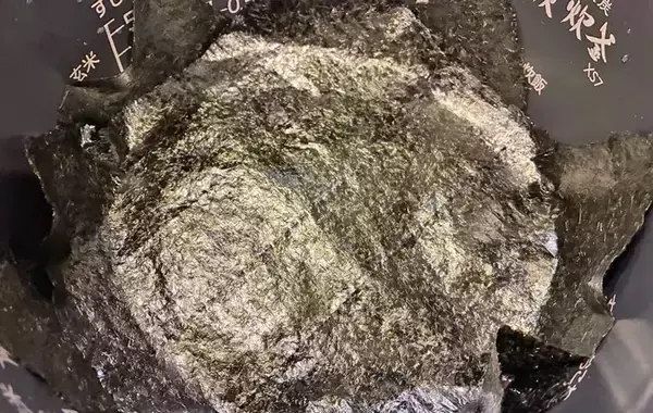 「炊飯器に米と海苔を入れたら…　できた一品に「毎日これでいい」「疲れた夜にもぴったり」」の画像