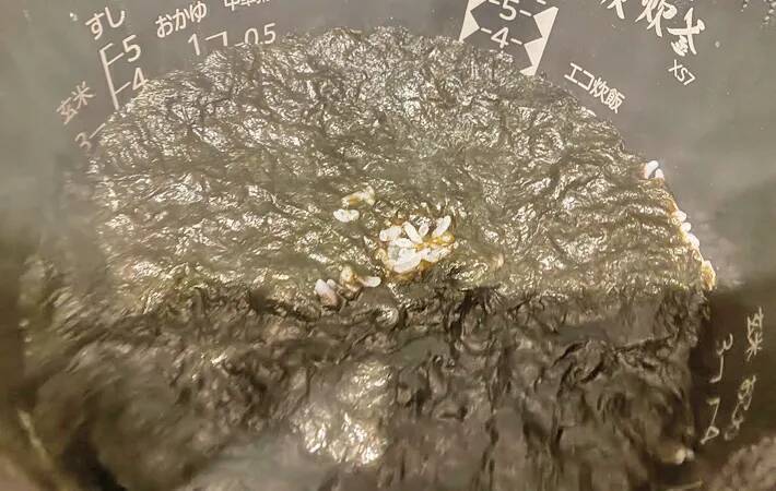 炊飯器に米と海苔を入れたら…　できた一品に「毎日これでいい」「疲れた夜にもぴったり」