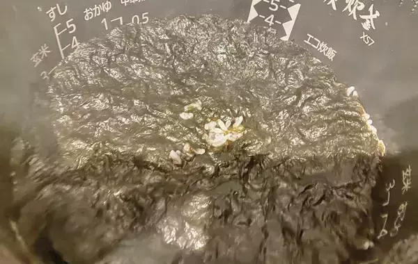 「炊飯器に米と海苔を入れたら…　できた一品に「毎日これでいい」「疲れた夜にもぴったり」」の画像