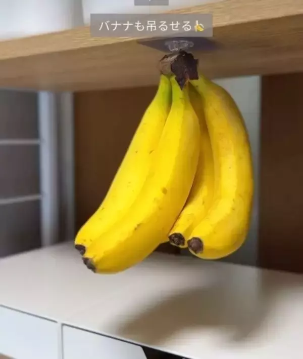 「「こんなに種類が？」「集めたい」　賃貸でも安心の『シールフック8選』」の画像