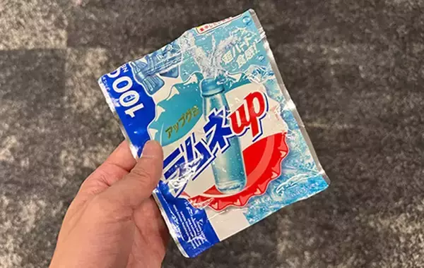 「「これがゴミ箱なの？」「ぜんぜん見えないし機能的」　評判の『スリコ』ポータブルゴミ箱がこちら！」の画像