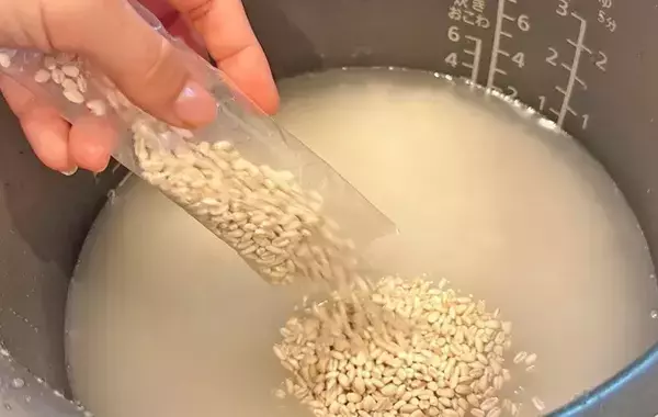 「3分レンチンしてパラパラに！　チャーハンの材料で入れたのが？「プチプチ食感がたまらん」」の画像