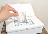 「110円のマスクケース、入れたのはマスクではなく？　ダイソーに聞いた！家中で使える収納アイディア」の画像6