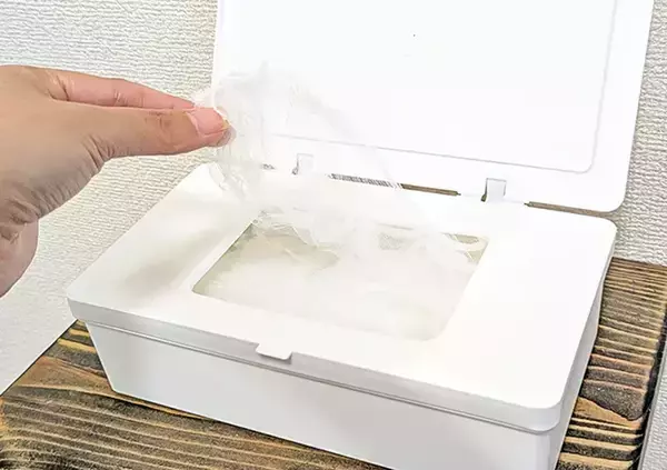「110円のマスクケース、入れたのはマスクではなく？　ダイソーに聞いた！家中で使える収納アイディア」の画像