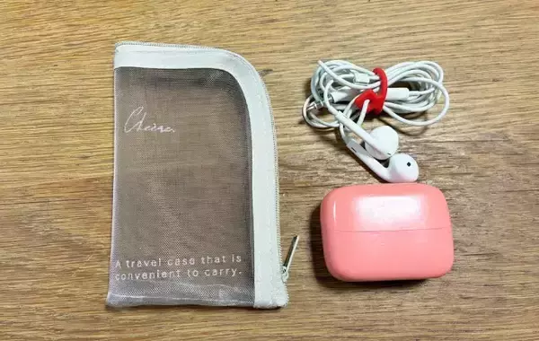 「セリアで買った『メッシュのメイクポーチ』　思わぬ活用法に「ピッタリ収まった！」」の画像