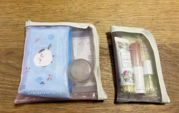 「セリアで買った『メッシュのメイクポーチ』　思わぬ活用法に「ピッタリ収まった！」」の画像