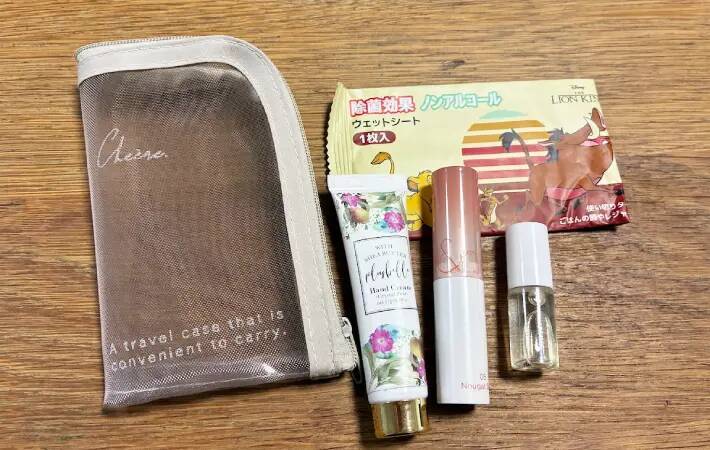 セリアで買った『メッシュのメイクポーチ』　思わぬ活用法に「ピッタリ収まった！」