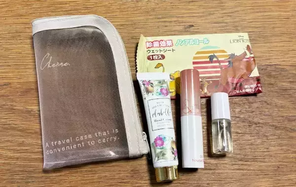「セリアで買った『メッシュのメイクポーチ』　思わぬ活用法に「ピッタリ収まった！」」の画像