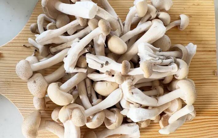 炊飯前に『2袋』入れてみて　炊き上がったご飯が「きのこの香り広がる」