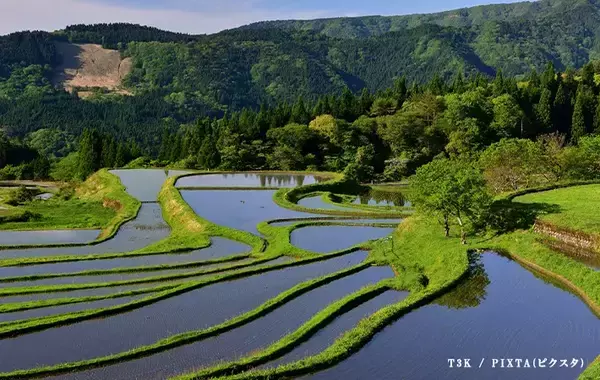 「『やぶ医者』は名医のことだった！？　3つの言葉の由来に答えられますか？」の画像