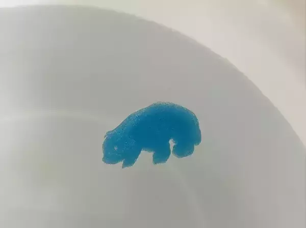 「「お風呂イヤだな…」そんな日に！　ダイソーの“魔法のカプセル”に子供も大人も思わずハマる」の画像