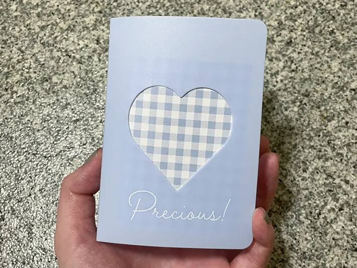 100均の『カードファイル』を旅行に！　「じゃない使い方」がパッキングに便利だった