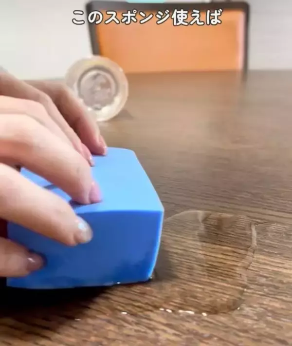 「ダイソーで買った『ハリネズミ型』のスポンジ　手放せない理由に「納得」「早速買う」」の画像