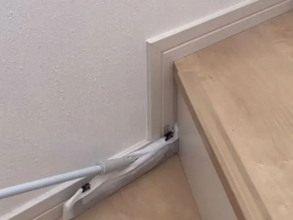 セリアのほうきが『バズった』理由　万能性に「これは欲しくなる」「一家に1本」