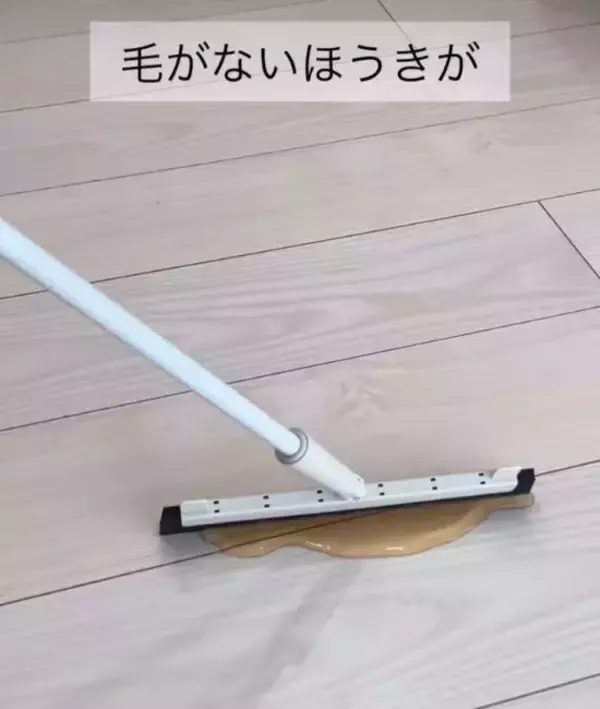 「セリアのほうきが『バズった』理由　万能性に「これは欲しくなる」「一家に1本」」の画像