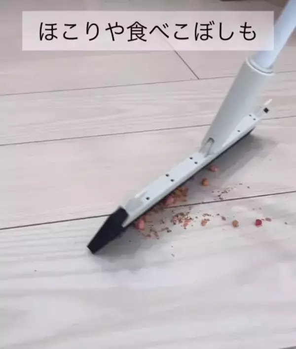 「セリアのほうきが『バズった』理由　万能性に「これは欲しくなる」「一家に1本」」の画像