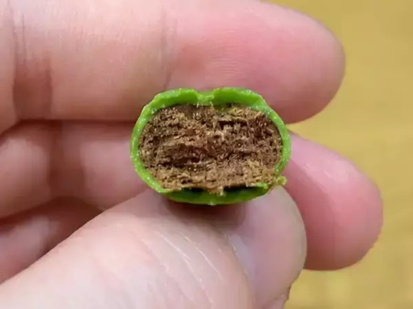 「アメリカの抹茶スイーツとは違う？　「抹茶味は苦手」だった友人がハマった日本のお菓子」の画像