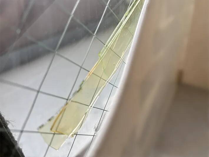 ベランダのスリッパ、どこに置く？　邪魔しない“貼るだけ収納”に「取り入れて正解！」
