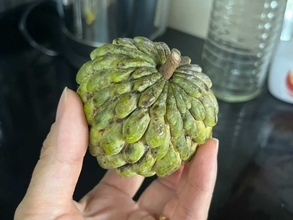 枝豆の隣にあった『見たことない果実』を家で食べてみると？「切った瞬間に…」