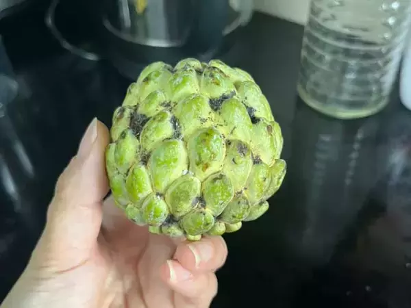 「枝豆の隣にあった『見たことない果実』を家で食べてみると？「切った瞬間に…」」の画像