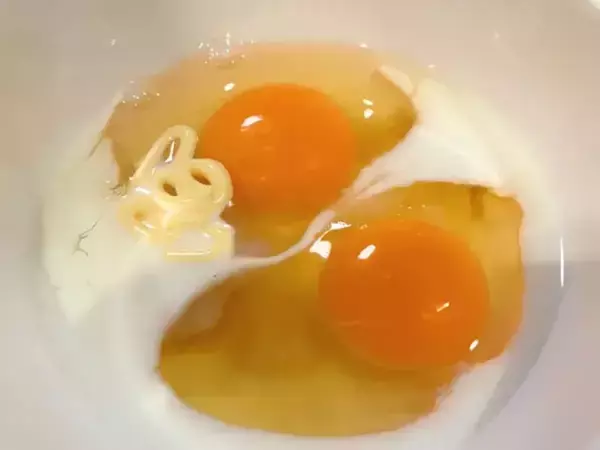 玉子焼きを『くるっ』と焼いてみて 「ふんわりしてる」「朝食やお弁当にピッタリ」