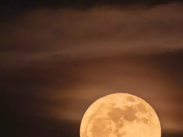 「すごすぎる」「いいことがありそう」　黄金の『満月』と一緒に写っていたのは…？