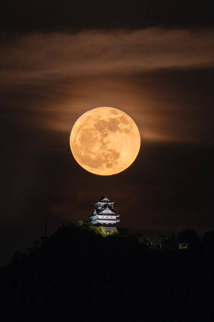 「すごすぎる」「いいことがありそう」　黄金の『満月』と一緒に写っていたのは…？