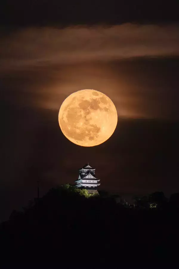 「「すごすぎる」「いいことがありそう」　黄金の『満月』と一緒に写っていたのは…？」の画像