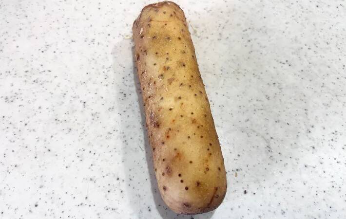 卵2個に加えたのは…？　子供が夢中になる『ふわふわ玉子焼き』【料理の裏技】