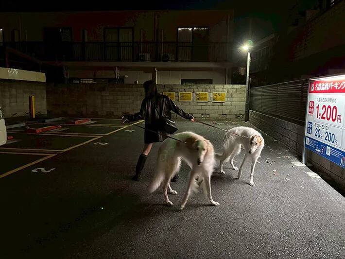 ボルゾイとの『散歩写真』に１７万いいね！　「ポーズをとったわけじゃないけど…」