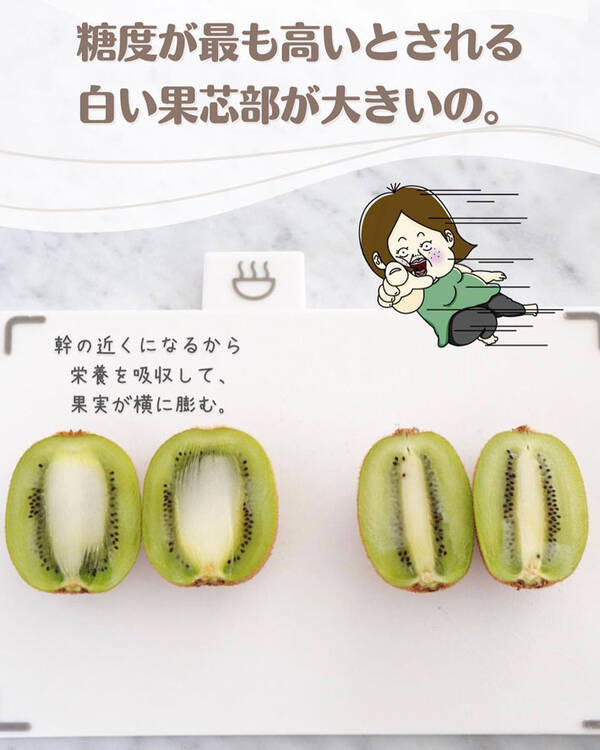より甘いのはどっち キウイの 見分け方 に反響 知らなかった 早速探してみる 22年6月2日 エキサイトニュース