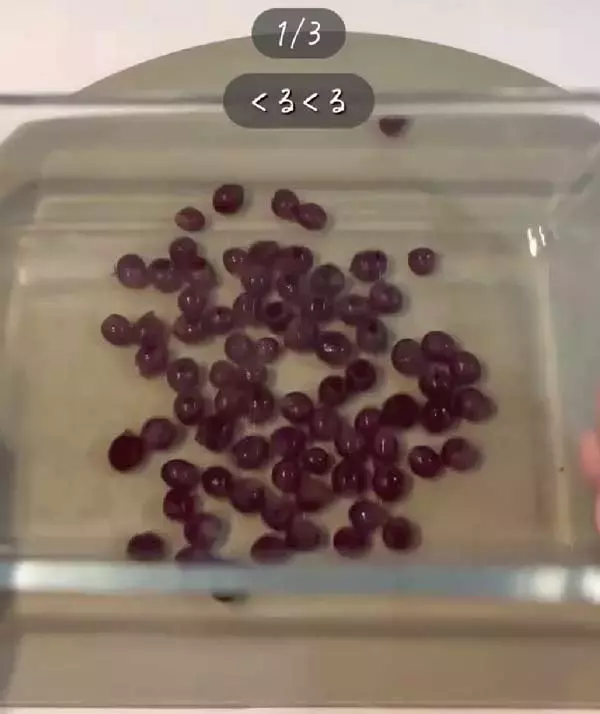 「スイカの種が邪魔！　解決する『切り方』に「感動」「目からウロコ」」の画像