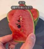 「スイカの種が邪魔！　解決する『切り方』に「感動」「目からウロコ」」の画像6