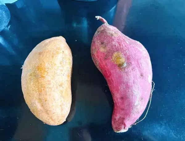 「オムライスの隣に入れた『おかず』が…　小３息子「地獄みたいだね」」の画像