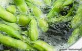 「枝豆は水からゆでる？お湯からゆでる？　JA全農にいがたが教える「おすすめのゆで方」がこちら」の画像2