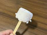 「ヨーグルトにアイス棒1本をブスッ！　冷凍庫に入れるだけで、絶品スイーツが作れる」の画像7