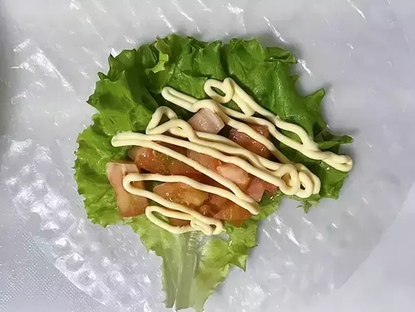 「ライスペーパーをトースターで焼く！　10分後の変化に「かぶりつくのがオススメ」「ランチにいい」」の画像