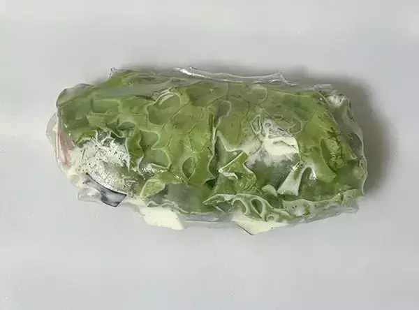 「ライスペーパーをトースターで焼く！　10分後の変化に「かぶりつくのがオススメ」「ランチにいい」」の画像