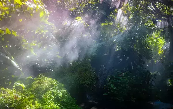 「「こんな場所まできてしまった…」旅したなかで一番遠い場所　雨の音が教えてくれた自然の果てしなさ」の画像