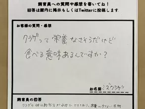 「カメはなぜクラゲを食べるの？」　飼育員の回答に驚き「お米と同じか」「誰かに言いたくなる」